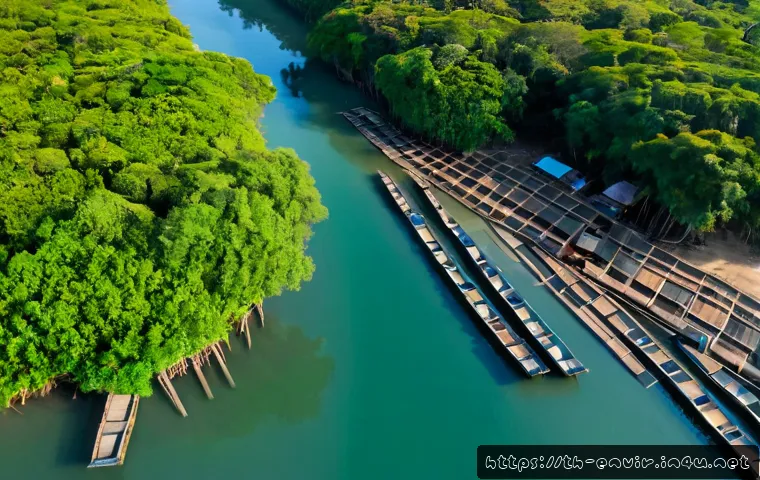 생태계 서비스의 경제적 가치 - Photorealistic aerial view of a lush mangrove forest along Thailand’s tropical coastline, clear blue...